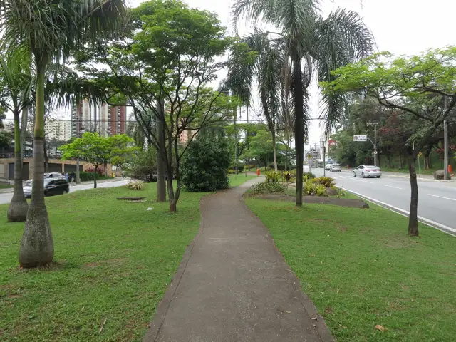 Avenida arborizada em Alphaville